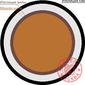 КНР 10х1