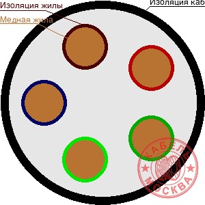 ВББШВнг-1 5х50