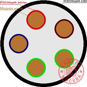 ВББШВнг-LS-1 5х50
